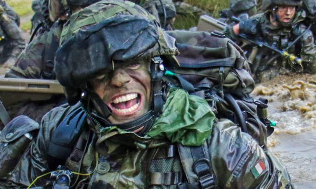 COMMISSION RECOMMENDS MAJOR EXPANSION OF IRELAND’S DEFENCE FORCES